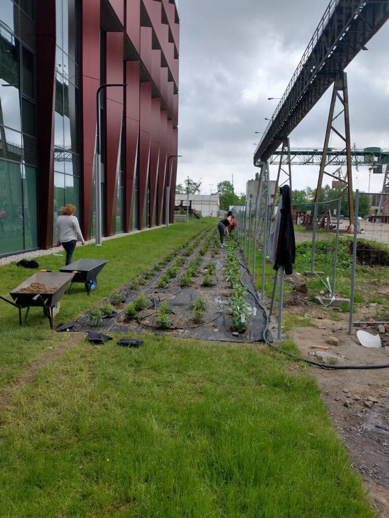 285758314 531891268452256 8694921937642534051 n