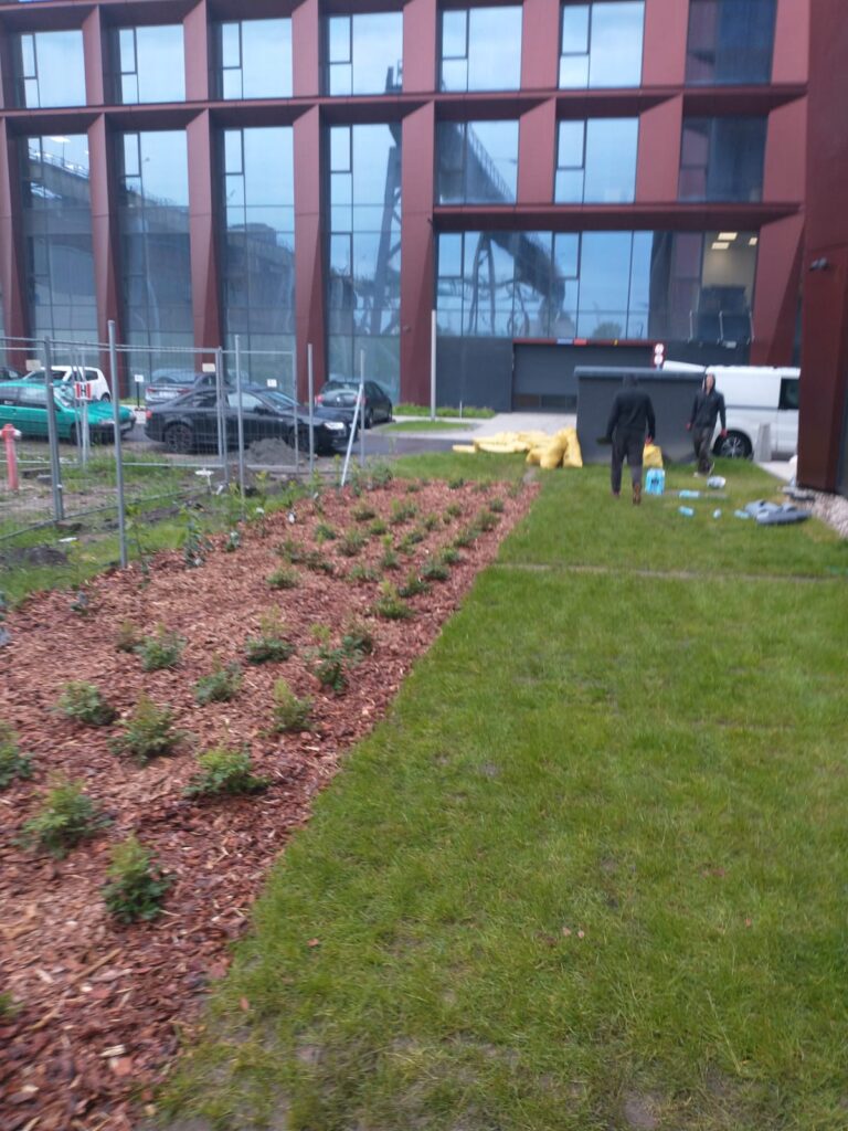 285884413 531891208452262 1719151415940642016 n