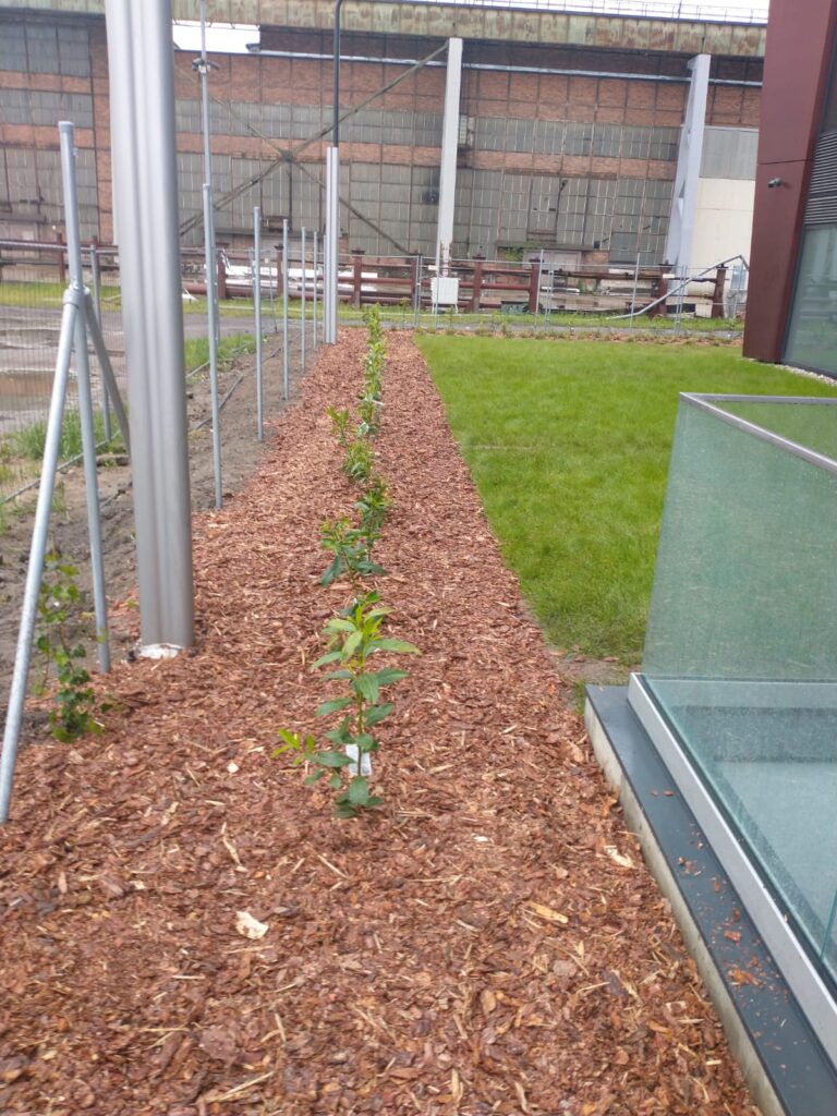 285926914 531891261785590 1091364464295772472 n (1)