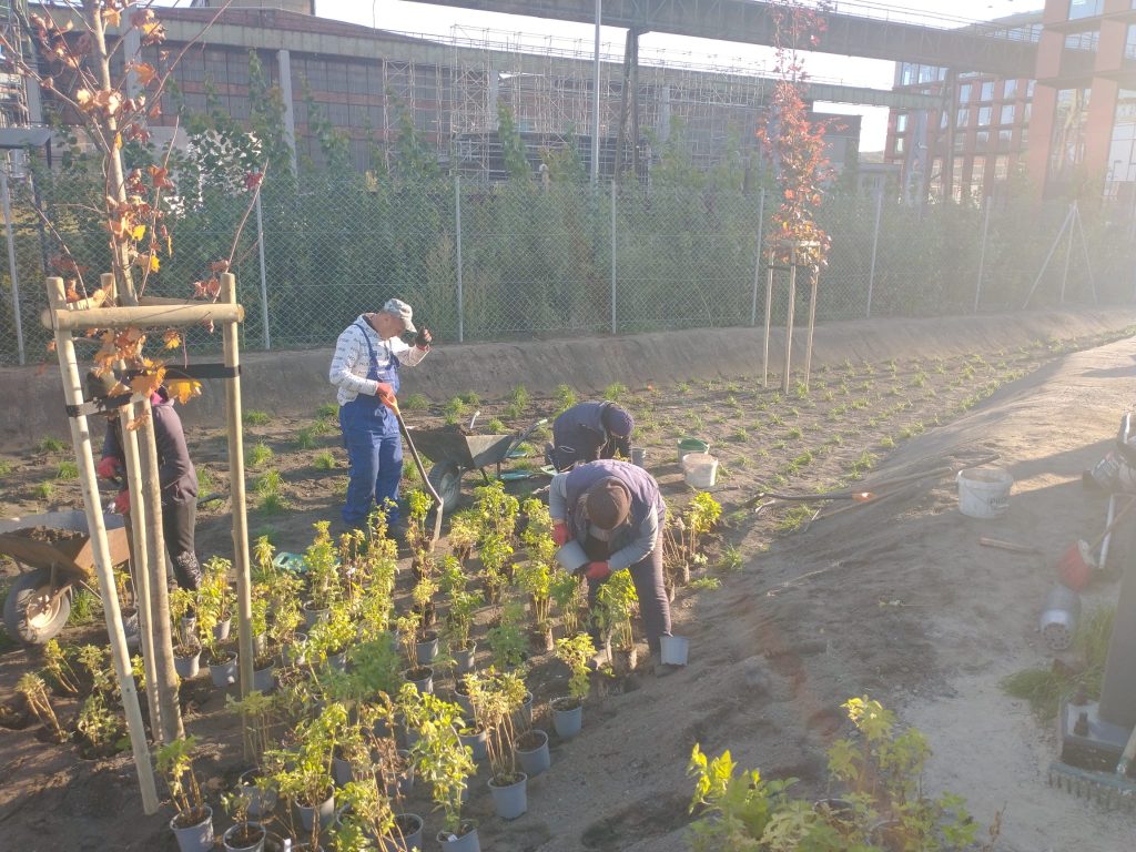 whatsapp image 2022 10 14 at 16.33.03 (1)