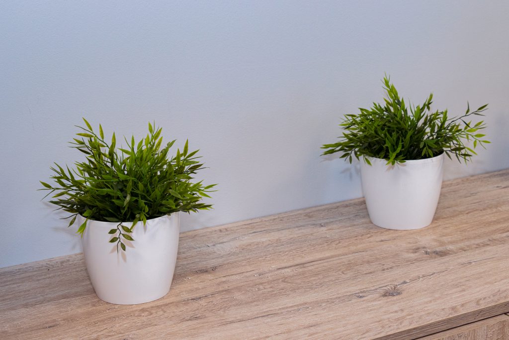 flizegres arkońska 11 (10)