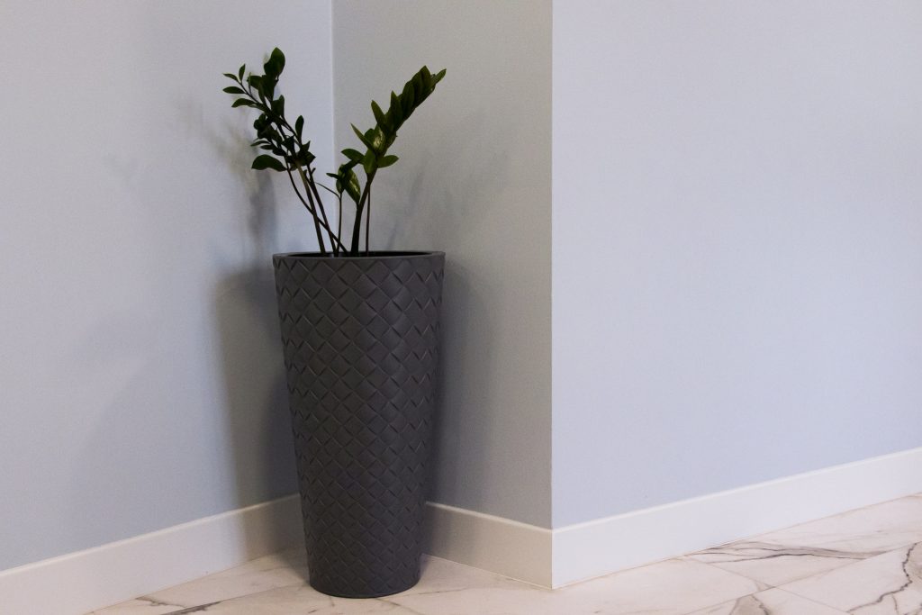 flizegres arkońska 11 (18)